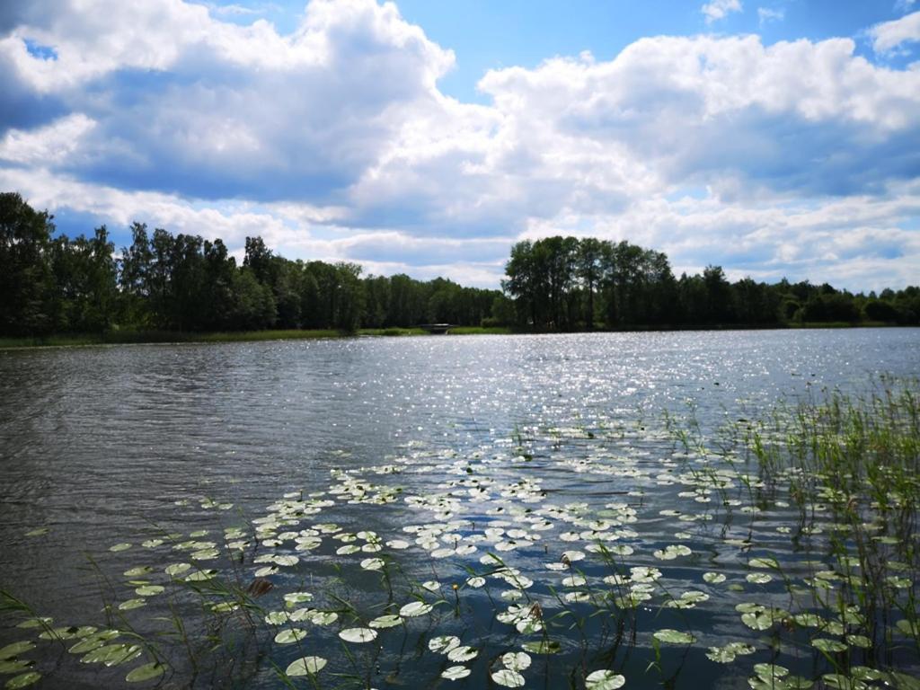 Sodyba Brazylija Taraldziai Bagian luar foto